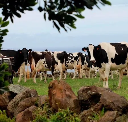 Apartmán A Descoberta D'angra! *