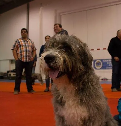 Daire A Descoberta D'angra! Angra do Heroísmo