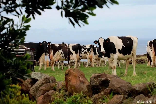 Apartment A Descoberta D'angra! *